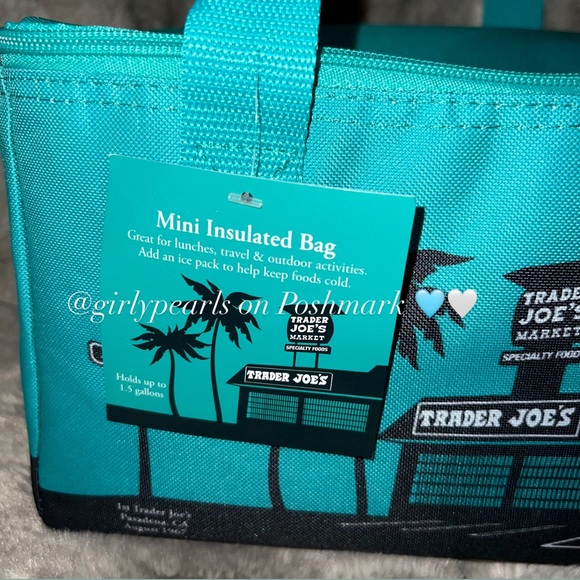 Trader Joe’s Mini Insulated Lunch Bag - Picture 2 of 6